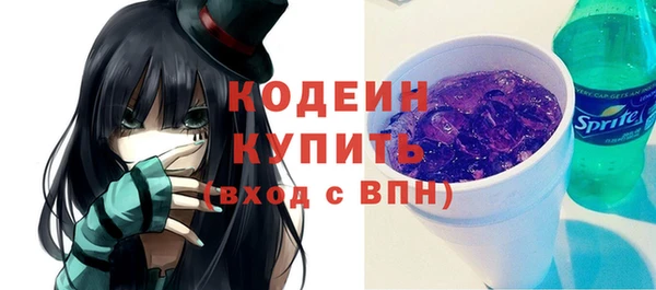 спайс Корсаков