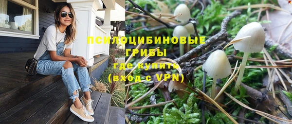 спайс Корсаков