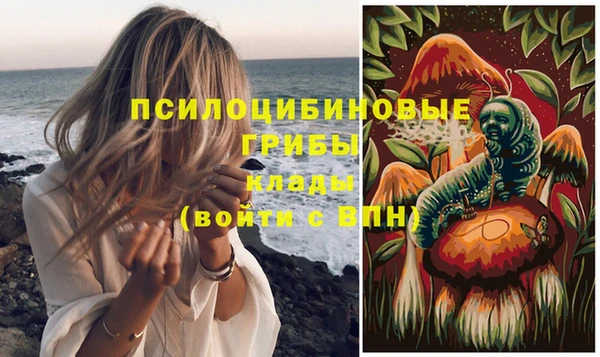 спайс Корсаков