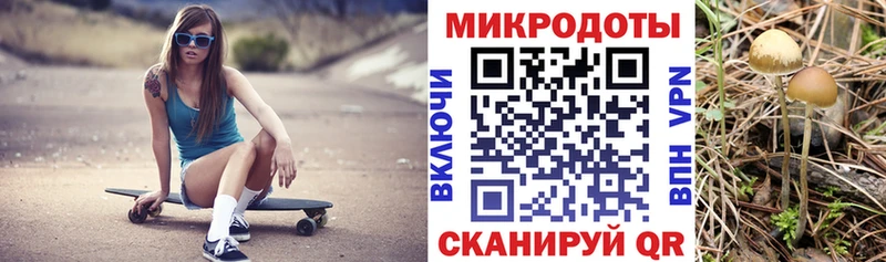 omg ССЫЛКА  Кочубеевское  Галлюциногенные грибы мухоморы 